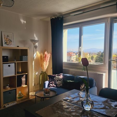 Studio Kaan Avec Terasse 5Mn Basel Airport Сен-Луї Екстер'єр фото