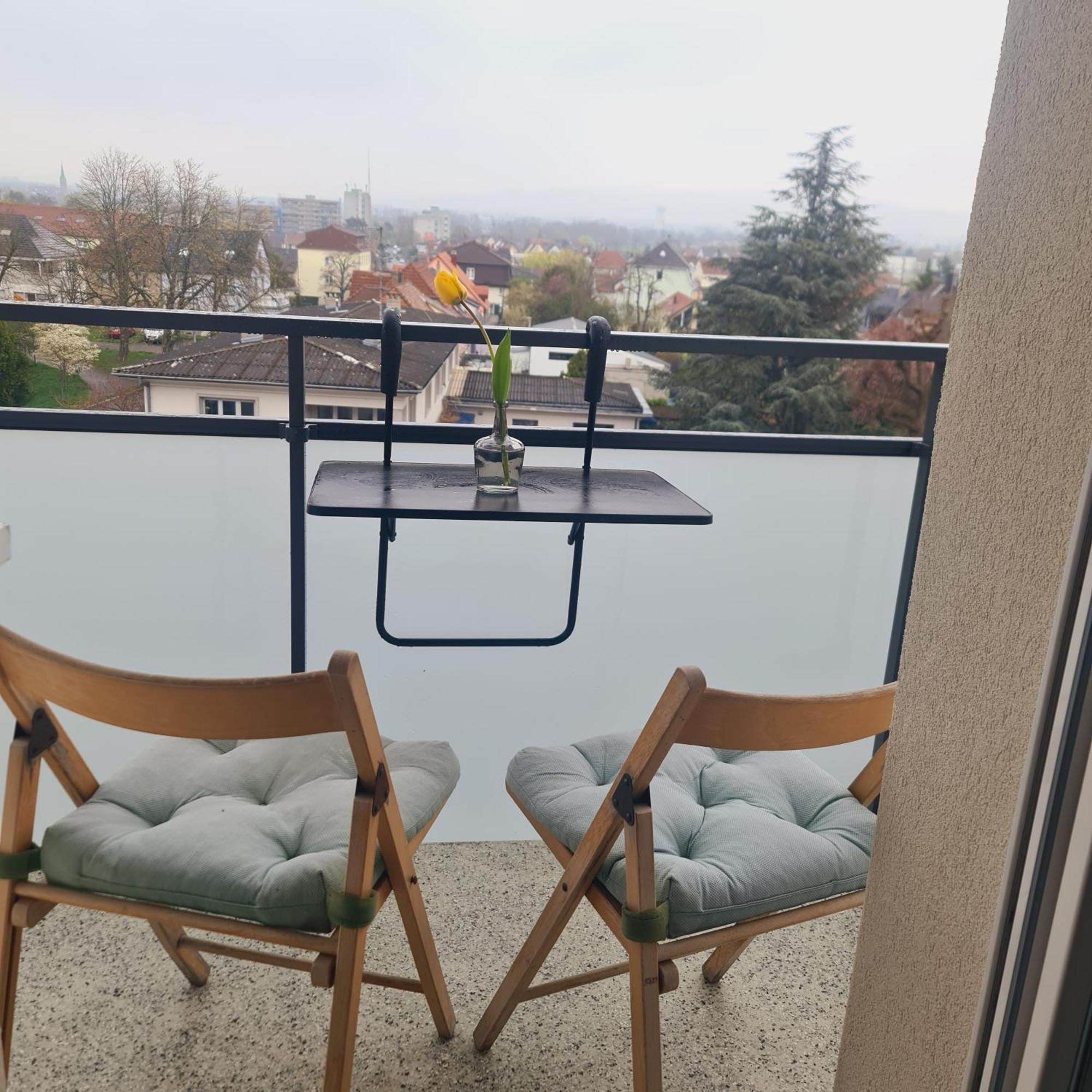 Studio Kaan Avec Terasse 5Mn Basel Airport Сен-Луї Екстер'єр фото