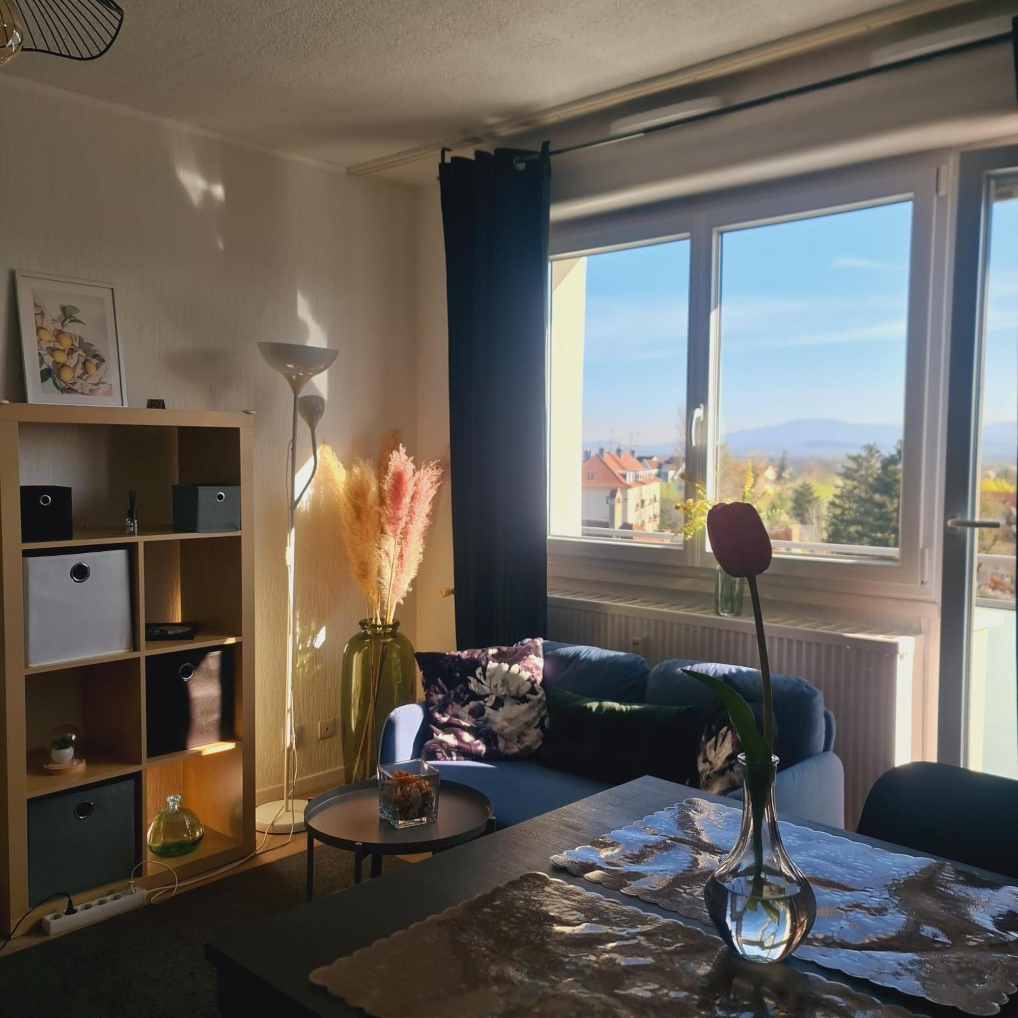 Studio Kaan Avec Terasse 5Mn Basel Airport Сен-Луї Екстер'єр фото